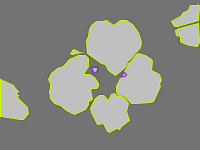 Annotation Visualization